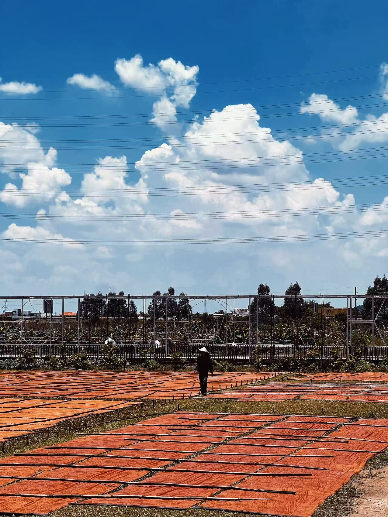 Orange-brown Xiangyunsha fabric laid out across a field