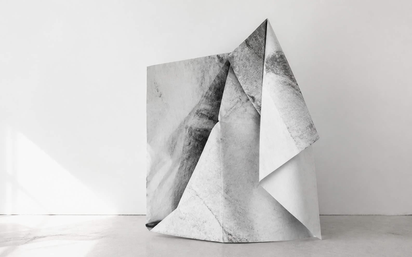 Layered printed image study for the camel transformation.