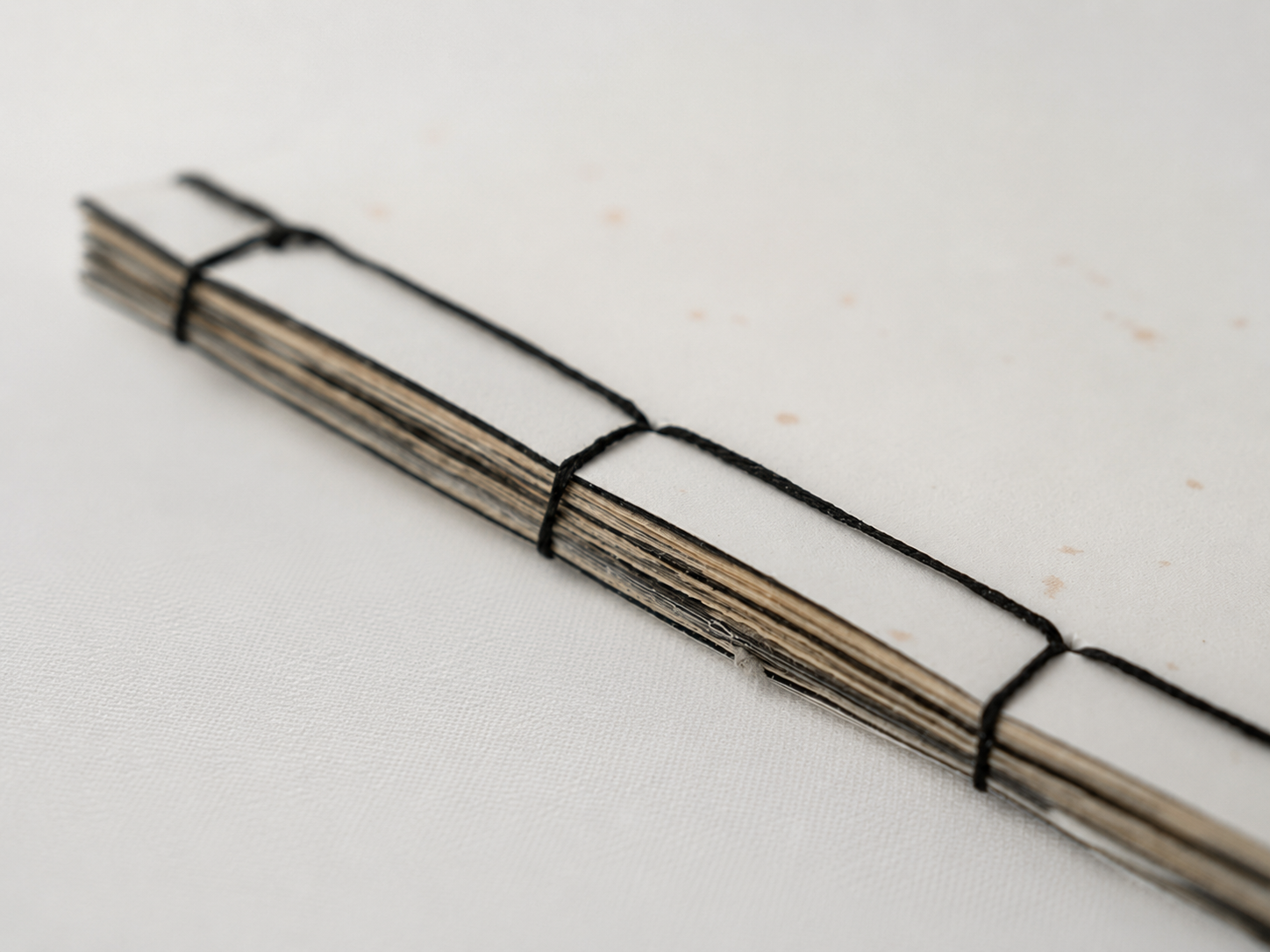 Skin of Writing book showing its hand-bound spine and cover.