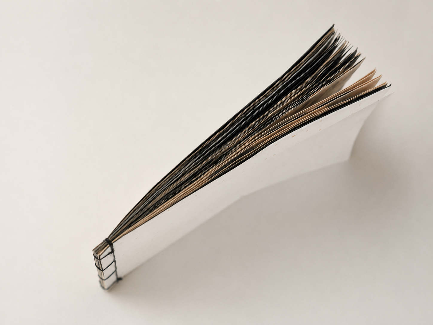 Skin of Writing book showing its thickness and page edges.