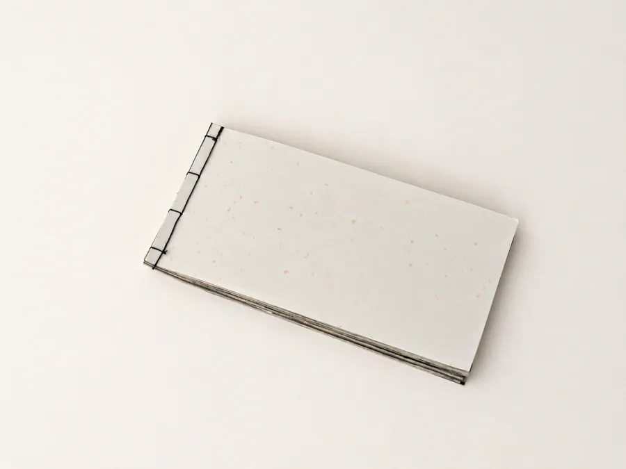 Skin of Writing hand-bound book shown from an angled cover view.